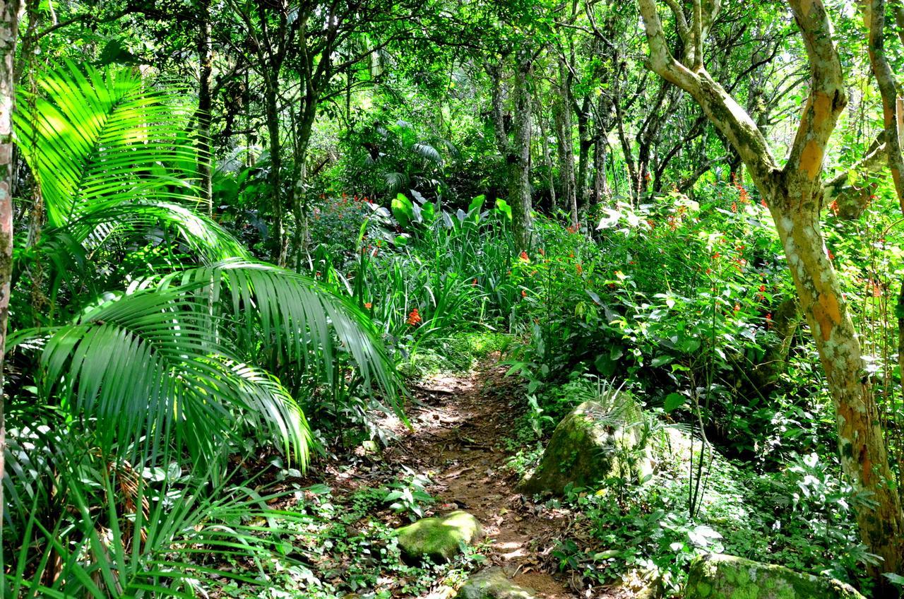 Pousada Sitio Dos Tucanos Florianópolis Exterior foto